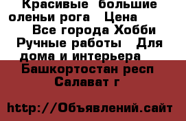 Красивые  большие оленьи рога › Цена ­ 3 000 - Все города Хобби. Ручные работы » Для дома и интерьера   . Башкортостан респ.,Салават г.